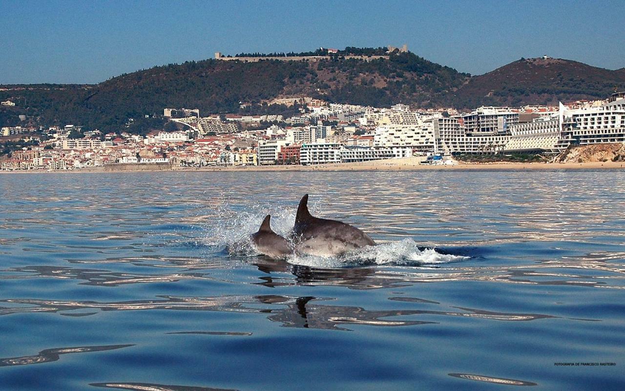 Refugio De Zimbra Apartman Sesimbra Kültér fotó